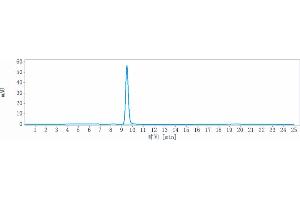 The purity of Anti- Human/Mouse/Monkey CTGF( Pamrevlumab) In Vivo Mab is 100 % , determined by SEC-HPLC. (Rekombinanter CCN2 (Pamrevlumab Biosimilar) Antikörper)