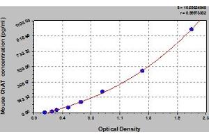 Choline Acetyltransferase ELISA Kit