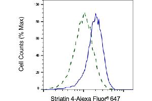 Validation of Striatin 4 knockdown using flow cytometry. (Rekombinanter STRN4 Antikörper)