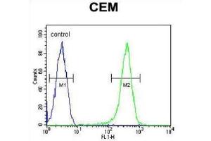 Flow Cytometry (FACS) image for anti-Cytochrome C Oxidase Assembly Homolog 10 (COX10) antibody (ABIN2995798)