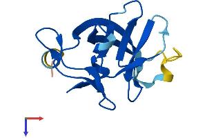 RABIF Protein (AA 1-123) (His tag)