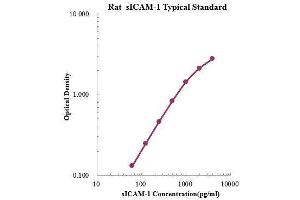 ELISA image for Intercellular Adhesion Molecule 1 (ICAM1) ELISA Kit (ABIN3198544) (ICAM1 ELISA Kit)