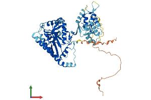 Protein Structure (PS) image for Lysophosphatidylcholine Acyltransferase 4 (LPCAT4) (AA 1-524) protein (His tag) (ABIN7554418)
