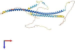 PTRF Protein (AA 1-392) (His tag)