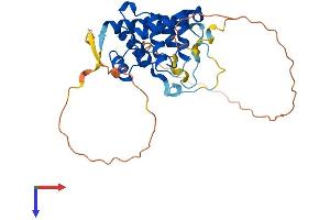 SPDYA Protein (AA 1-310) (His tag)