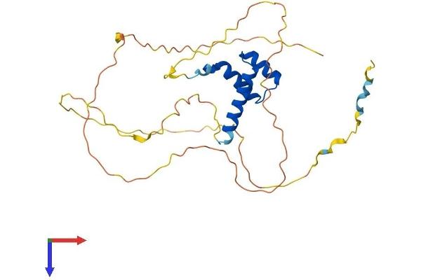 DLX3 Protein (AA 1-287) (His tag)