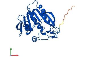 Protein Structure (PS) image for Thiopurine S-Methyltransferase (TPMT) (AA 1-245) protein (His tag) (ABIN7544731)