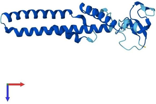 GINS1 Protein (AA 1-196) (His tag)