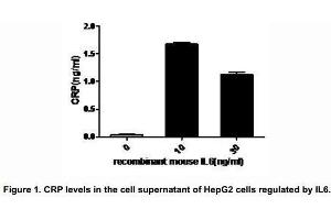 Image no. 2 for Interleukin 6 (IL6) (AA 25-211) (Active) protein (His tag) (ABIN6239753)
