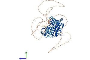 Protein Structure (PS) image for MAP/microtubule Affinity-Regulating Kinase 3 (MARK3) (AA 1-753) protein (His tag) (ABIN7554479)