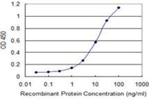 Detection limit for recombinant GST tagged PCDHA7 is 0. (PCDHA7 Antikörper  (AA 143-241))