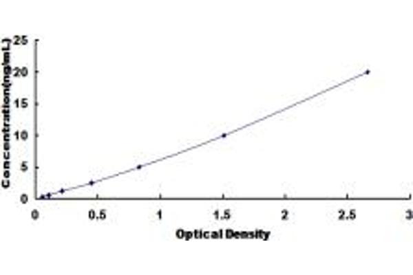 RGS6 ELISA Kit