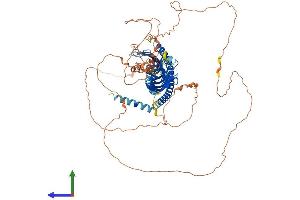 Protein Structure (PS) image for Junctophilin 3 (JPH3) (AA 1-744) protein (His tag) (ABIN7565071)