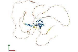 AlphaFold protein structure predicition of Mouse Recombinant Etv5 Protein, UniprotID Q9CXC9