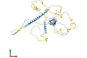 AlphaFold protein structure predicition of Human Recombinant CTTN Protein, UniprotID Q14247