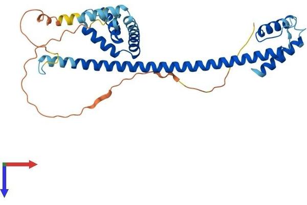 HMG20B Protein (AA 1-317) (His tag)