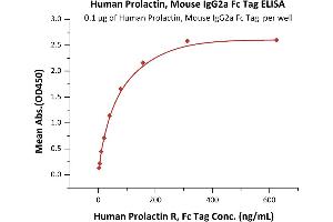 Immobilized Human Prolactin, Mouse IgG2a Fc Tag, low endotoxin (ABIN6253198,ABIN6253591) at 1 μg/mL (100 μL/well) can bind Human Prolactin R, Fc Tag (ABIN5674642,ABIN6253668) with a linear range of 2-39 ng/mL (QC tested).