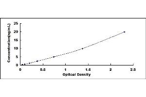 PDE4D ELISA Kit