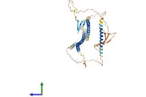 Protein Structure (PS) image for Spermatid Associated (SPERT) (AA 1-446) protein (His tag) (ABIN7557025)