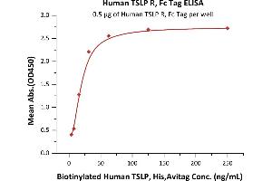 Immobilized Human TSLP R, Fc Tag (ABIN5954970,ABIN6253631) at 5 μg/mL (100 μL/well) can bind Biotinylated Human TSLP, His,Avitag (ABIN5954931,ABIN6253633) with a linear range of 4-31 ng/mL (QC tested).