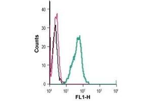 Cell surface detection of GPR84 in live intact mouse BV-2 microglia cells: (black line) Cells. (GPR84 Antikörper  (Extracellular) (FITC))