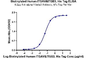 Immobilized Anti-alpha V beta3 Antibody, hFc Tag at 2 μg/mL (100 μL/well) on the plate. (CD51/CD61 Protein (AA 31-992) (His-Avi Tag,Biotin))