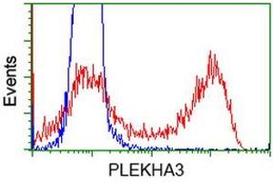 HEK293T cells transfected with either RC208433 overexpress plasmid (Red) or empty vector control plasmid (Blue) were immunostained by anti-PLEKHA3 antibody (ABIN2454555), and then analyzed by flow cytometry. (PLEKHA3 Antikörper)