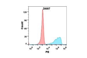 Flow cytometry analysis with Anti-B7-H2 (DM97) on Expi293 cells transfected with human B7-H2 (Blue histogram) or Expi293 transfected with irrelevant protein (Red histogram). (ICOSLG Antikörper  (AA 19-256))