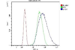 Flow Cytometry analysis of U2OS cells using anti-EHD4 antibody (ABIN7599824).