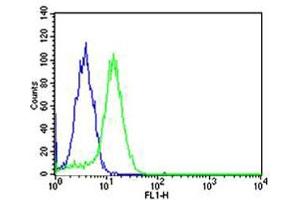 Flow cytometric analysis of Hela cells using USP11 Antibody (C-term )(green, Cat(ABIN1944797 and ABIN2838501)) compared to an isotype control of mouse IgG1(blue). (USP11 Antikörper  (N-Term))