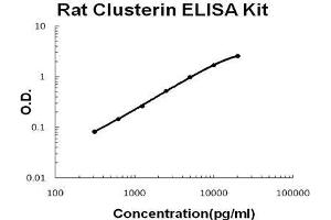 Rat Clusterin PicoKine ELISA Kit standard curve