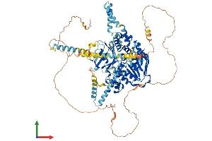 Protein Structure (PS) image for ATP-Binding Cassette, Sub-Family F (GCN20), Member 1 (ABCF1) (AA 1-845) protein (His tag) (ABIN7551797)