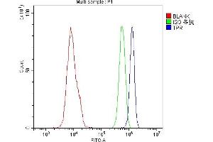 Flow Cytometry analysis of U937 cells using anti-TPR antibody (ABIN5693275). (TPR Antikörper)