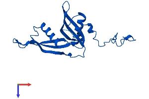 RPL18A Protein (AA 1-176) (His tag)