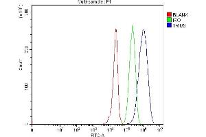 Flow Cytometry analysis of 293T cells using anti-TRIM3 antibody (ABIN7602441). (TRIM3 Antikörper  (AA 77-433))
