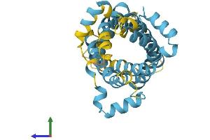AlphaFold protein structure predicition of Human Recombinant SLC25A10 Protein, UniprotID Q9UBX3