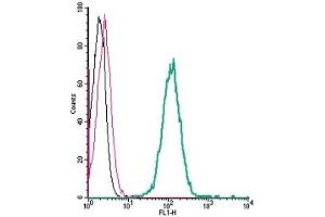 Cell surface detection of GPR183 by indirect flow cytometry in live intact human THP-1 monocytic leukemia cells: (black line) Cells. (GPR183 Antikörper  (Extracellular))