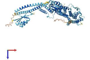 ATP6V0A4 Protein (AA 1-840) (His tag)