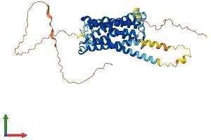 Protein Structure (PS) image for G Protein-Coupled Receptor 63 (GPR63) (AA 1-419) protein (His tag) (ABIN7548043)