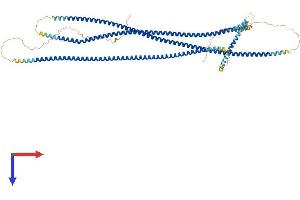 CCHCR1 Protein (AA 1-770) (His tag)