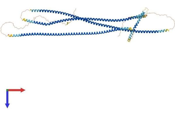 CCHCR1 Protein (AA 1-770) (His tag)