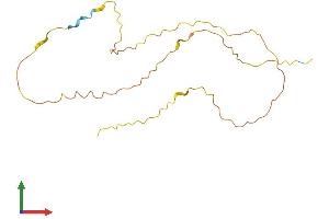 AlphaFold protein structure predicition of Human Recombinant C20orf203 Protein, UniprotID Q8NBC4