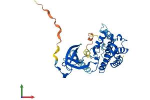 Protein Structure (PS) image for NEK7 (NEK7) (AA 1-302) protein (His tag) (ABIN7549675)