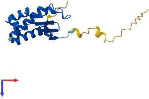 BTG2 Protein (AA 1-158) (His tag)