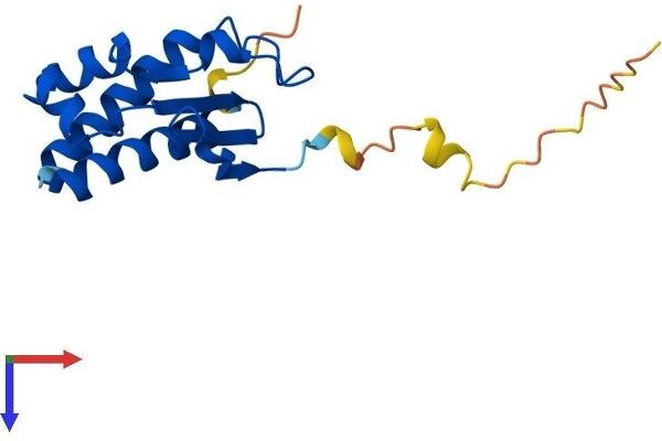 BTG2 Protein (AA 1-158) (His tag)