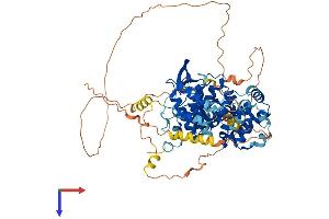 TCF25 Protein (AA 1-676) (His tag)