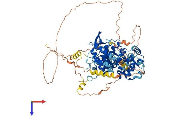 TCF25 Protein (AA 1-676) (His tag)