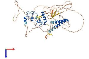 MTL5 Protein (AA 1-508) (His tag)