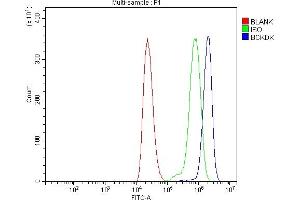 Flow Cytometry analysis of THP-1 cells using anti-BCKDK antibody (ABIN7601470). (BCKDK Antikörper  (AA 36-316))