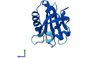 Protein Structure (PS) image for Profilin 3 (PFN3) (AA 1-137) protein (His tag) (ABIN7561216)